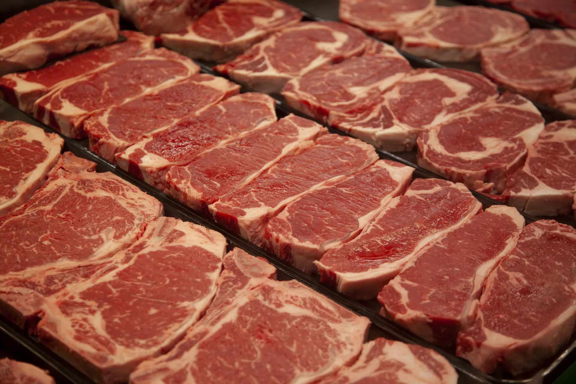 Premium ribeye steaks at D.W. Whitaker Meats
